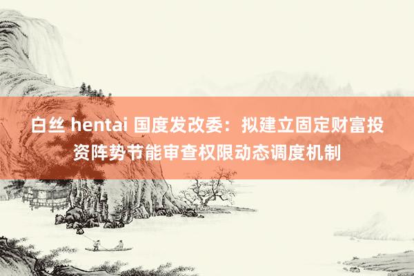 白丝 hentai 国度发改委：拟建立固定财富投资阵势节能审查权限动态调度机制