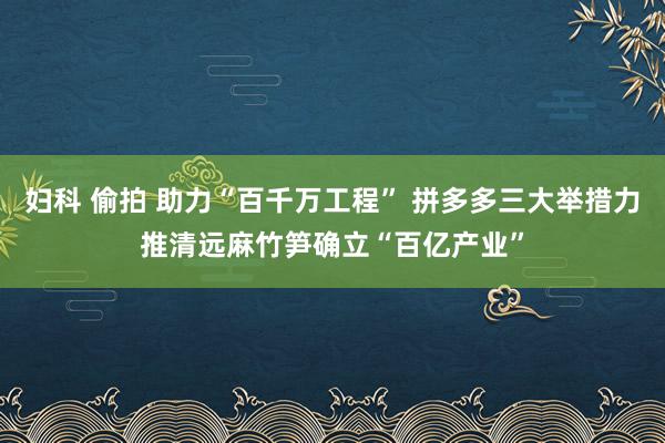 妇科 偷拍 助力“百千万工程” 拼多多三大举措力推清远麻竹笋确立“百亿产业”