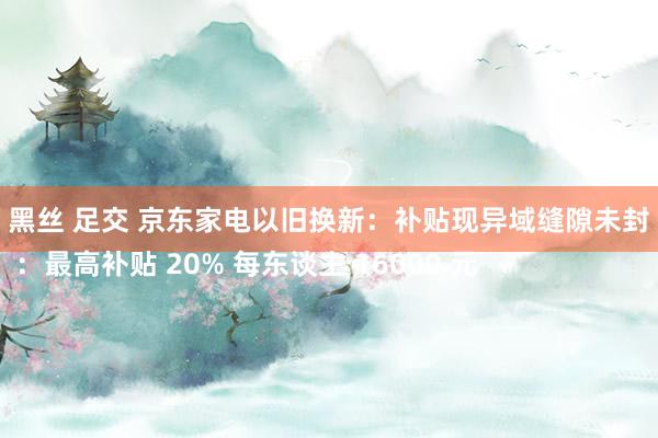 黑丝 足交 京东家电以旧换新：补贴现异域缝隙未封
 ：最高补贴 20% 每东谈主 16000 元